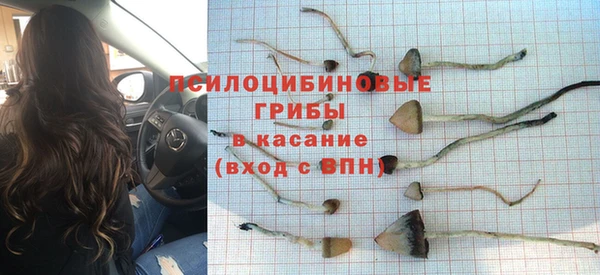 MDMA Бородино